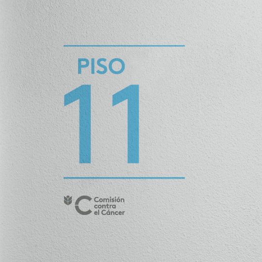 Comision 1920web11